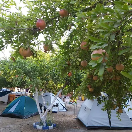 Gonca Camping-Adrasan * Kumluca
